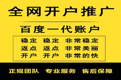 某行业领先企业背后的百度推广代理商策略